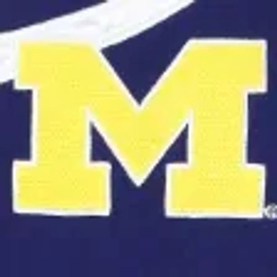 Hollister University Of Michigan Wolverines Graphic Windbreaker Jacket In Blue