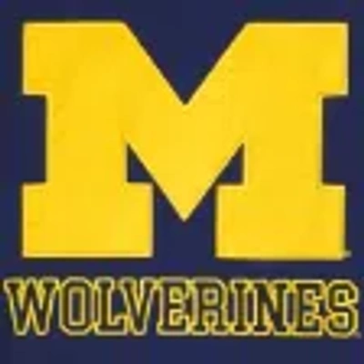 Hollister University Of Michigan Wolverines Graphic Windbreaker Jacket In Blue