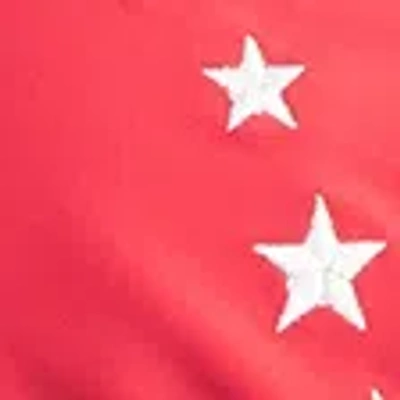 Hollister Triangle Bikini Top