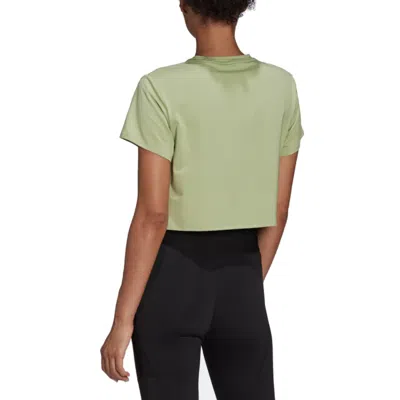 Adidas Originals (wmns) Adidas Novelty Training T-shirt 'olive Green' In Multi