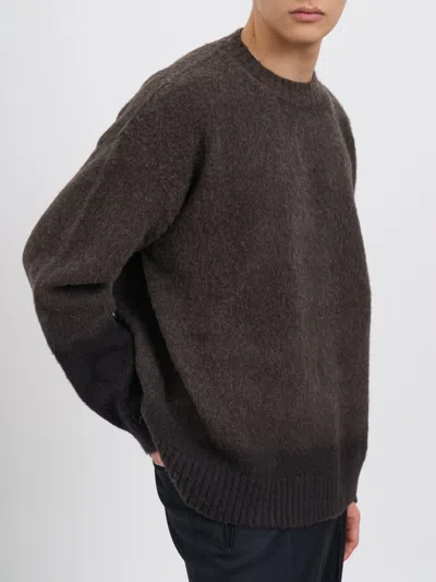 Danilo Paura Asia Crew Neck Sweater In Brown