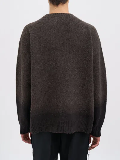 Danilo Paura Asia Crew Neck Sweater In Brown