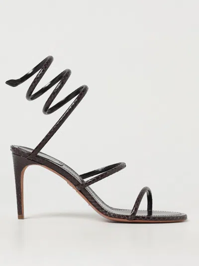 René Caovilla Heeled Sandal Rene Caovilla Woman Color Brown In Brown