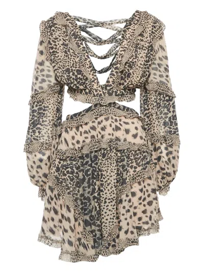 Pre-owned Zimmermann Leopard-print Mini Dress In Neutral