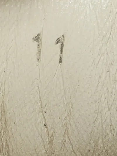 Pre-owned Gucci 1163152 White