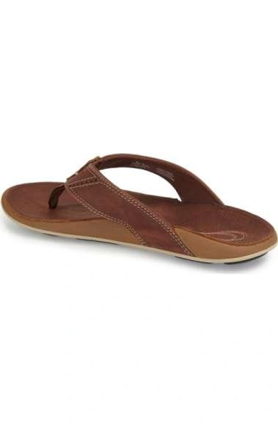 Shop Olukai 'nui' Leather Flip Flop In Charcoal/ Dark Java Leather