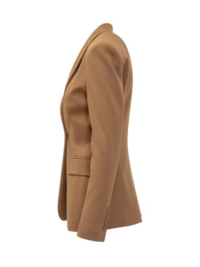 Pinko Single-breasted Tailored Blazer In Brown