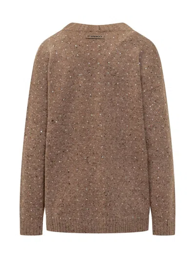 Pinko Brown Cardigan With  Rhinestones In Brown