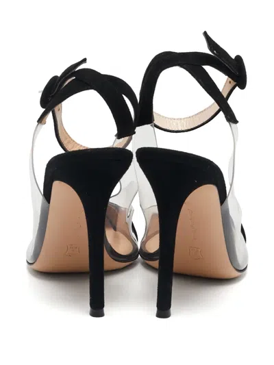 Pre-owned Gianvito Rossi 105mm Anise Suede Clear Pumps In Black