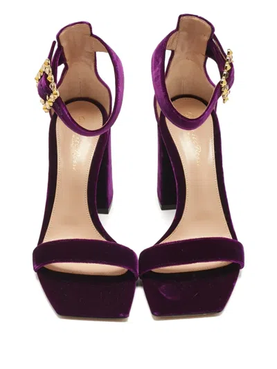 Pre-owned Gianvito Rossi Portofino Buckled Sandal In Purple