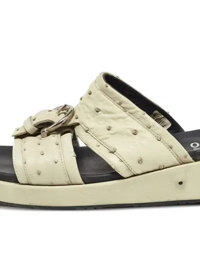 Pre-owned Ferragamo Pstrich Leather Buckle Flats In Neutral