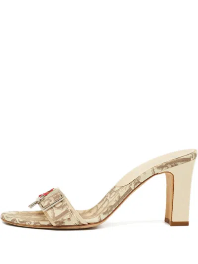 Pre-owned Dior Floral Embroidered Sandals In Neutral