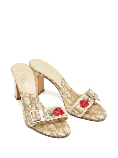 Pre-owned Dior Floral Embroidered Sandals In Neutral