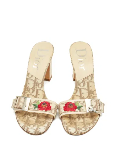 Pre-owned Dior Floral Embroidered Sandals In Neutral
