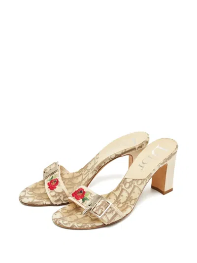 Pre-owned Dior Floral Embroidered Sandals In Neutral