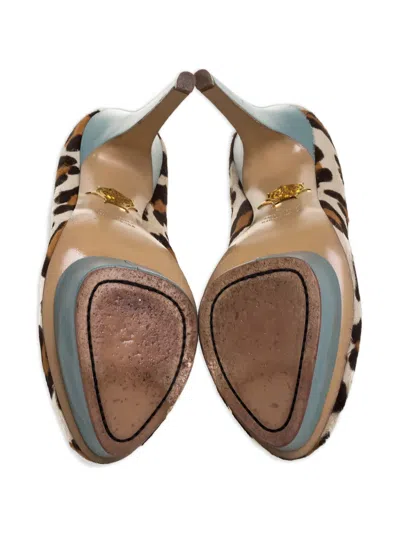 Pre-owned Charlotte Olympia 140mm Leopard-print Platform Pumps In Brown