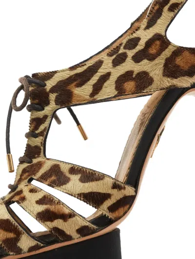 Pre-owned Charlotte Olympia 2024 150mm Platform Sandals In Brown