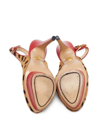 Pre-owned Charlotte Olympia 140mm Leopard-pattern Platform Pumps In Brown