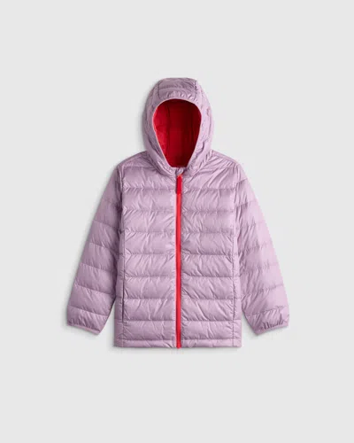 Quince Lightweight Down Hooded Puffer Jacket In Purple