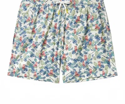 Hartford Men's Parrot Print Swim Short In White Multi In Multi