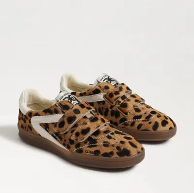 Sam Edelman Talia Velcro Sneaker Leopard Brahama Hair Leather In Brown