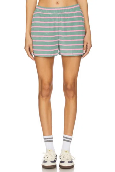 Beach Riot Rayah Short In Sage Bloom Stripe In Multi