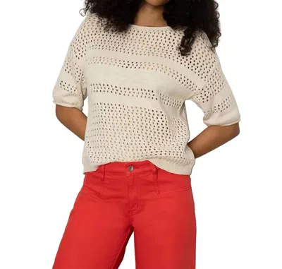 Sanctuary Stripe Open Stitch Elbow Sleeve Cotton Sweater In Macrame