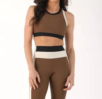 Glyder Socialite Sports Bra In Chocolate/oatmilk/black In Brown