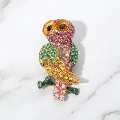 Fashnzfab Stone Paved Owl Pin Brooch In Multi