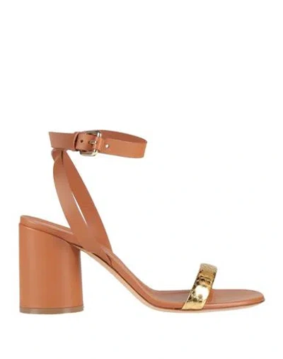 Casadei Woman Sandals Brown Size 6 Leather, Synthetic Fibers In Brown