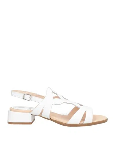 Callaghan Adaptaction Woman Sandals White Size 8 Leather In White