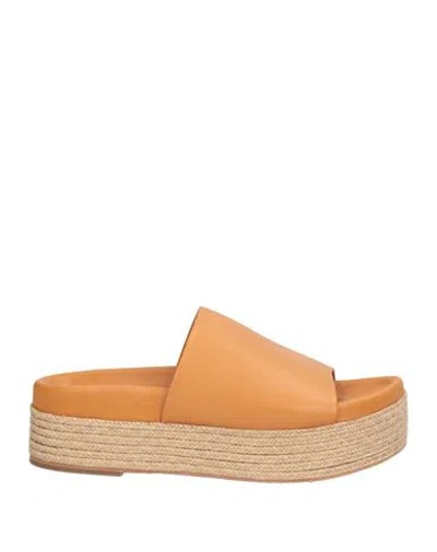 Paloma Barceló Woman Espadrilles Camel Size 7 Leather In Brown