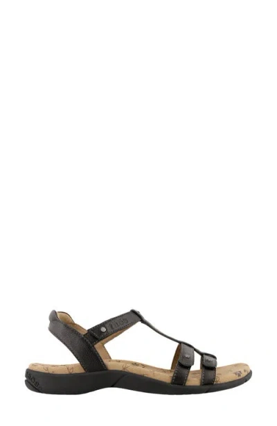 Taos Trophy 2 Sandal In Multi
