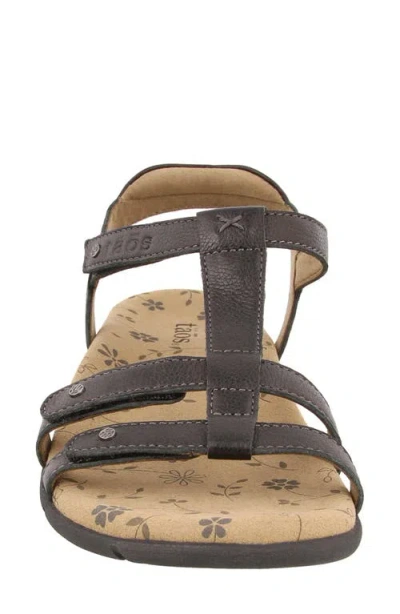 Taos Trophy 2 Sandal In Multi