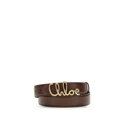 Chloé Brown Calf Leather Bos Taurus Regular Belt In Brown