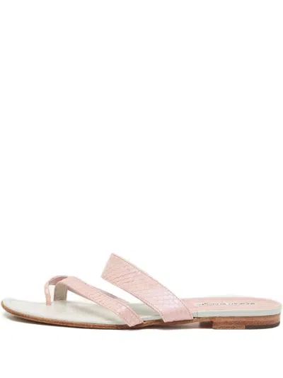 Pre-owned Manolo Blahnik 1117444 Pink