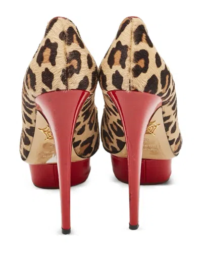 Pre-owned Charlotte Olympia  145mm Leopard-print Pumps In Brown