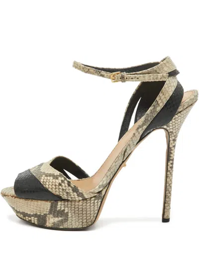 Pre-owned Sergio Rossi Vintage Python Embossed Leather Sandals In Gray