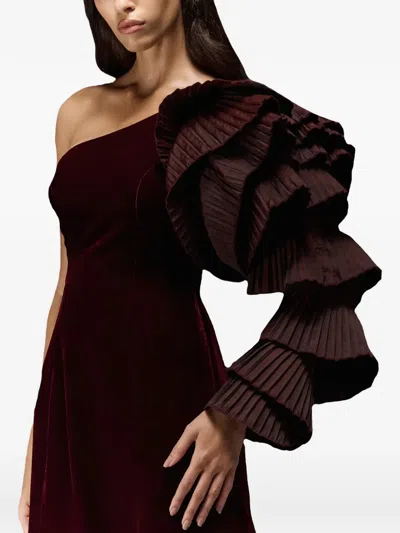 Tha Seen Velvet Ruffle-sleeve Maxi Dress In Brown