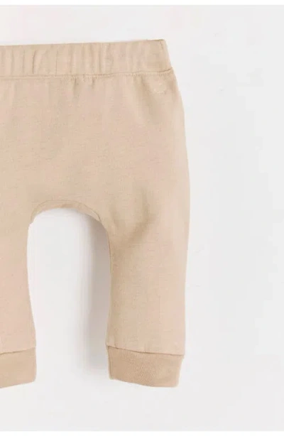 Babycottons Nut Harem Baby Jogger For Infant In Brown