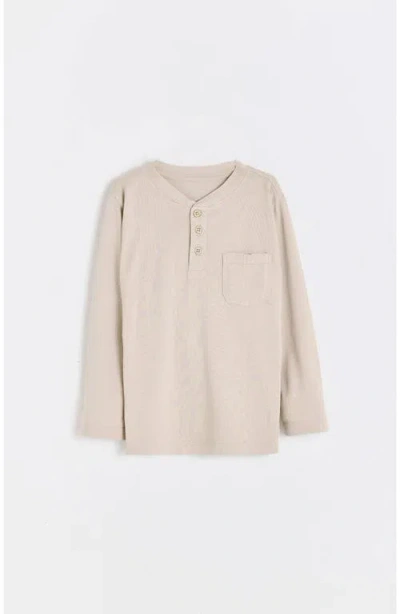 Babycottons Nut Tee For Infant In Brown