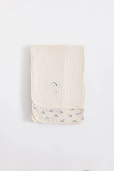 Babycottons Dinomyte Receiving Blanket In Neutral