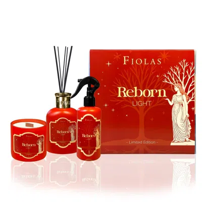 Fiolas Red Reborn Light Gift Set – Limited Edition In Red