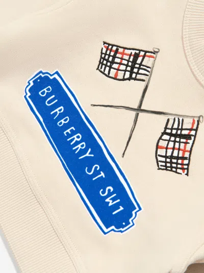 Burberry Baby Boys Flag Logo Sweatshirt In Neutral