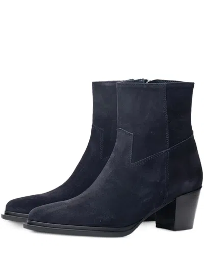 Poche Paris Pointed-toe Ankle Boots In Blue