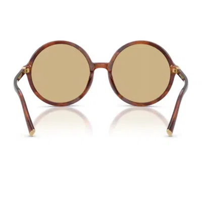 Miu Miu 0mu B02s Miu Regard Sunglasses In Brown