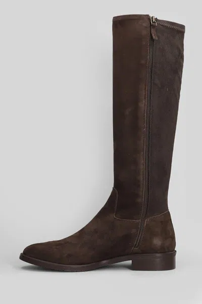 Julie Dee Low Heels Boots In Dark Brown Suede In Burgundy