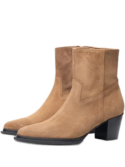 Poche Paris Pointed-toe Ankle Boots In Brown