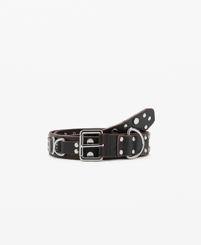 Mango Studded Leather Belt In Brown