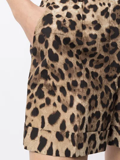 Dolce & Gabbana High Waist Leopard Stretch Drill Shorts In Brown